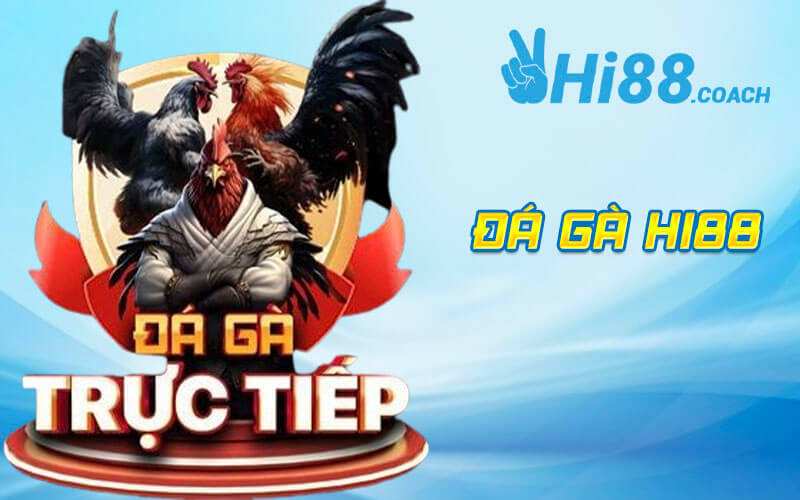 Đá Gà Hi88